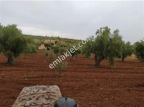gaziantep şahinbey kürüm köyünde satılık arazi